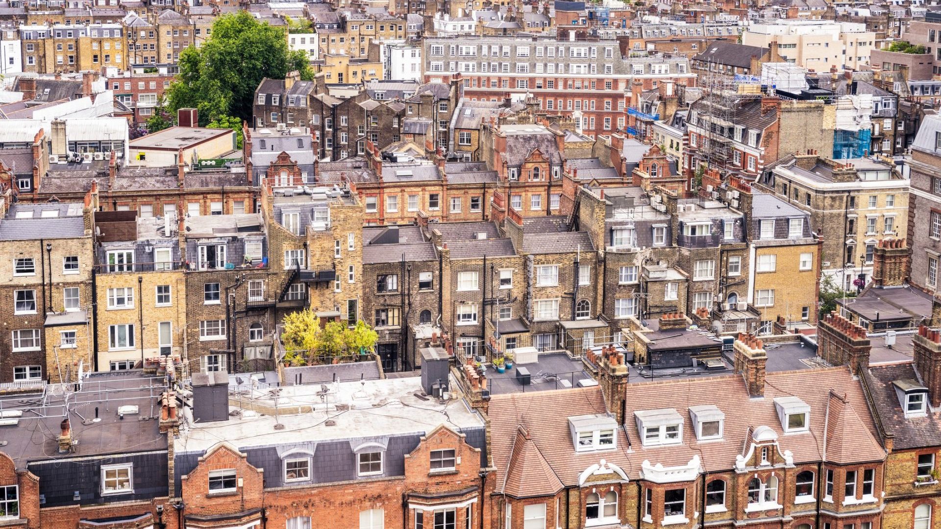 Building Surveying Building Surveying